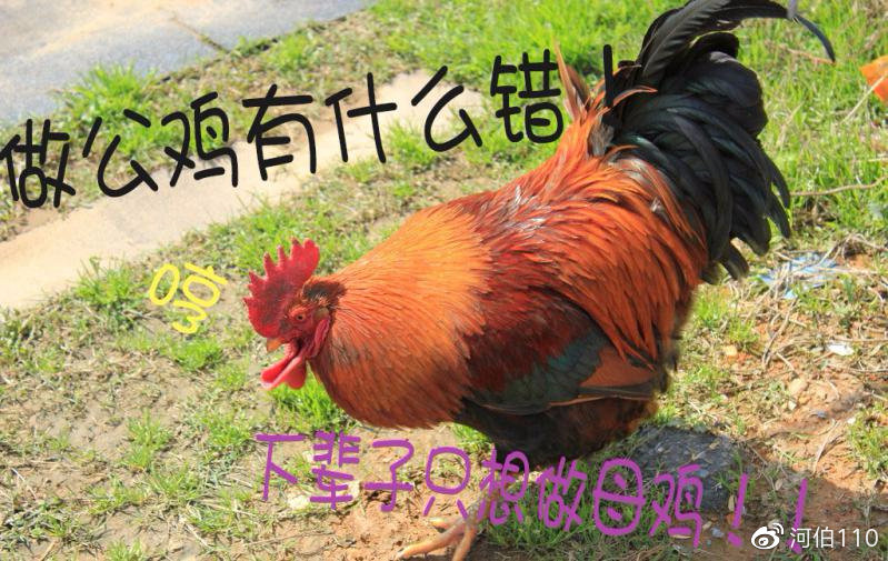 中国现代十大神秘职业,古代十大神秘职业