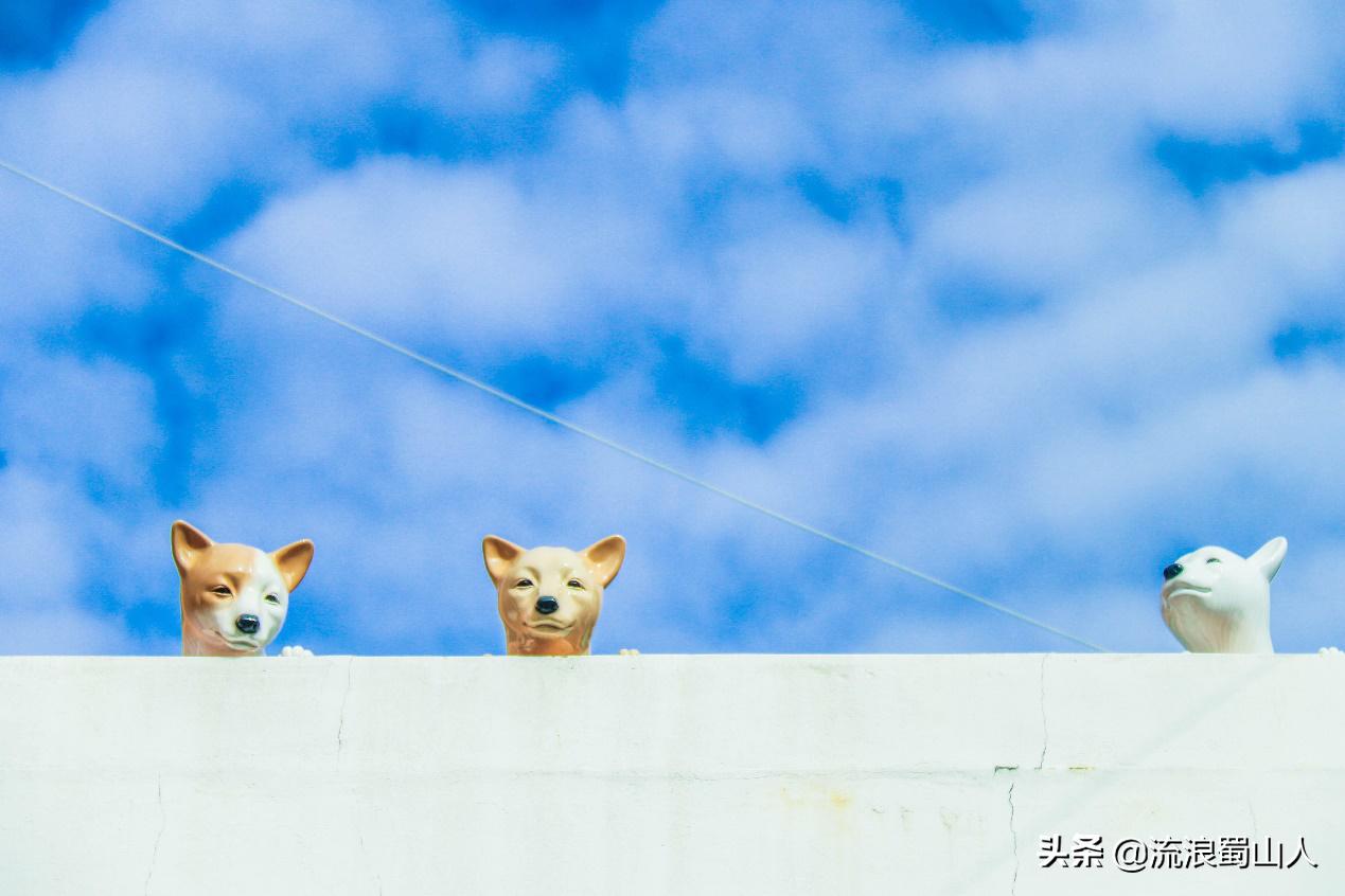 初见韩国歌曲,初见韩国电影