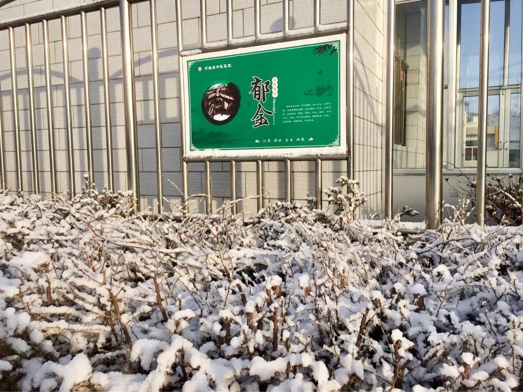 儿童鼻衄中医辨证,儿童鼻衄的中药治疗