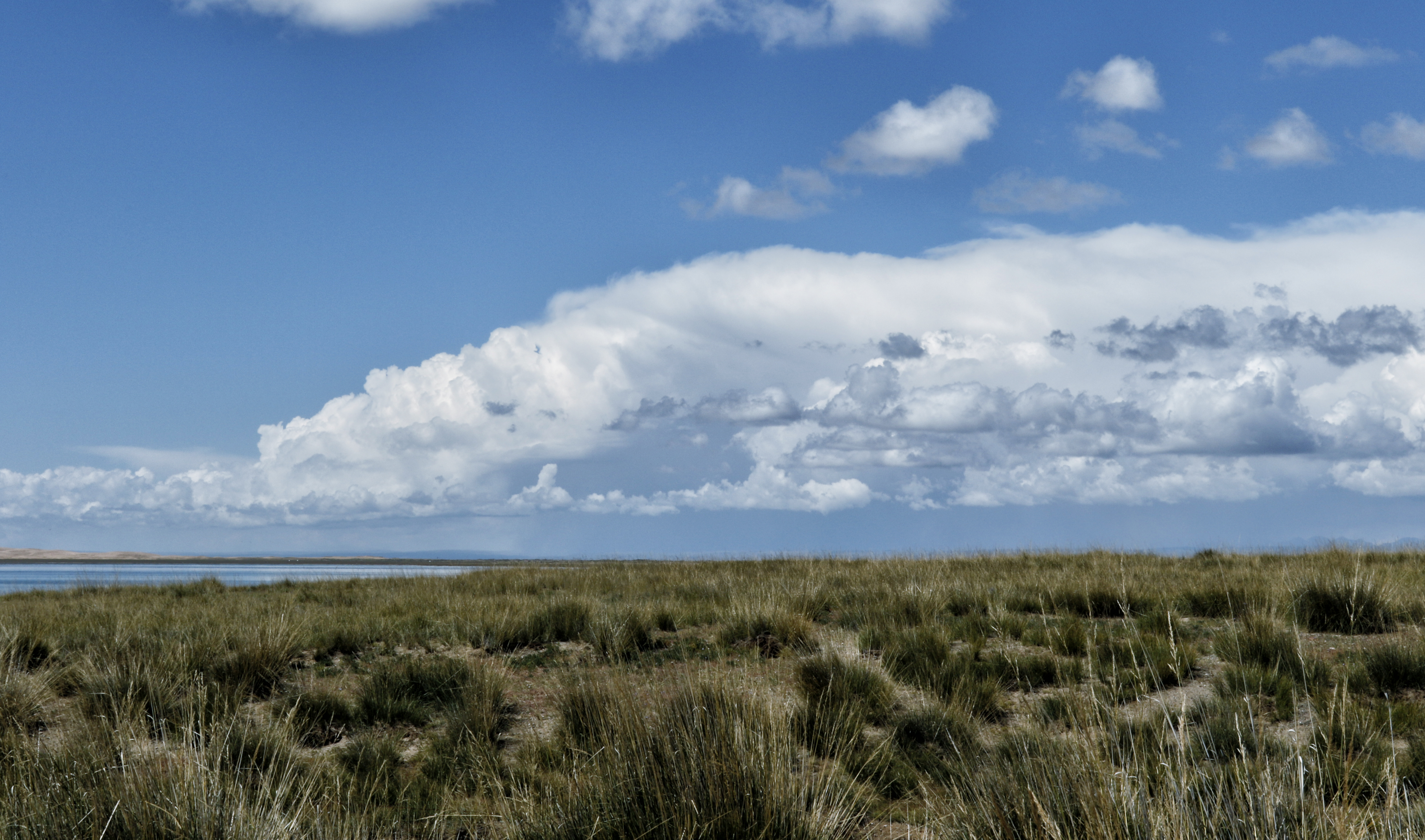 债券投资最新骗局案例,债券投资价值陷阱