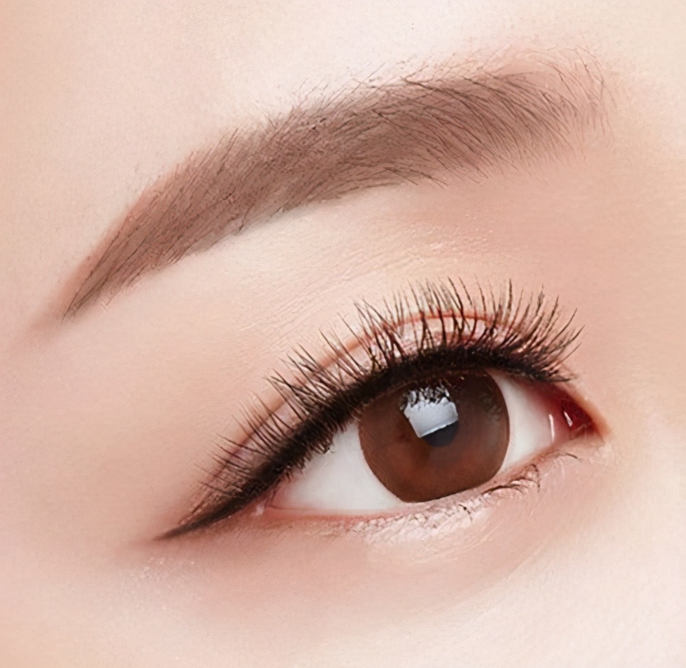 避雷指南靠谱吗,避雷注意事项及禁忌