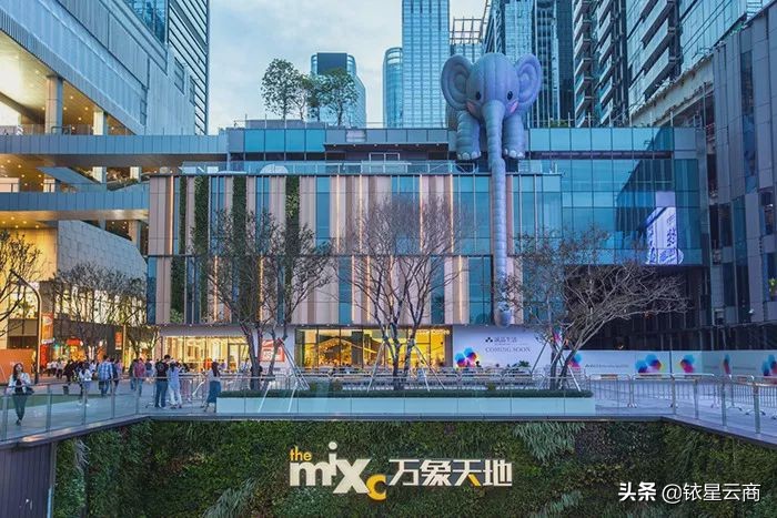 铱星周报|北美设计师品牌Blancore国内首家旗舰店落地成都…