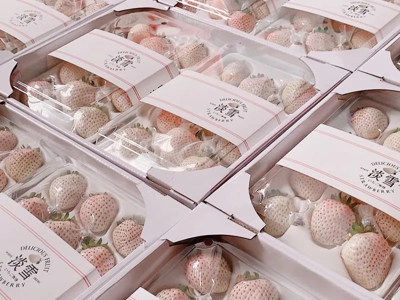 对不起！你被网红日系产品骗惨了