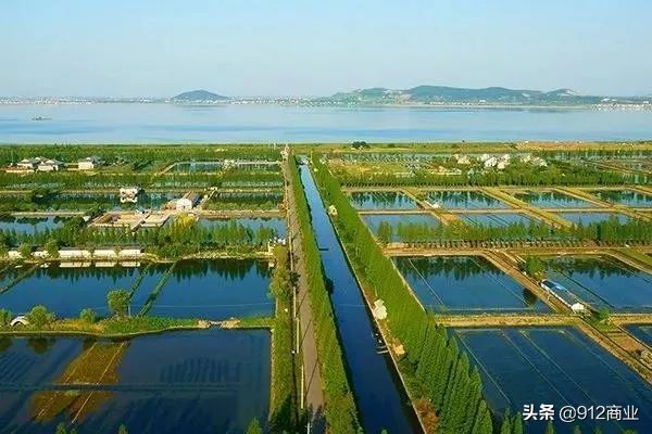 南京本地人冷知识,南京哪个区域是核心区