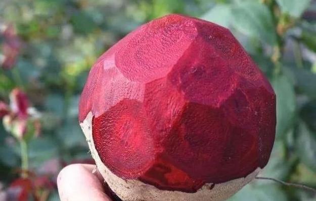 果肉血红的是什么桃子,果肉是红色的脆桃