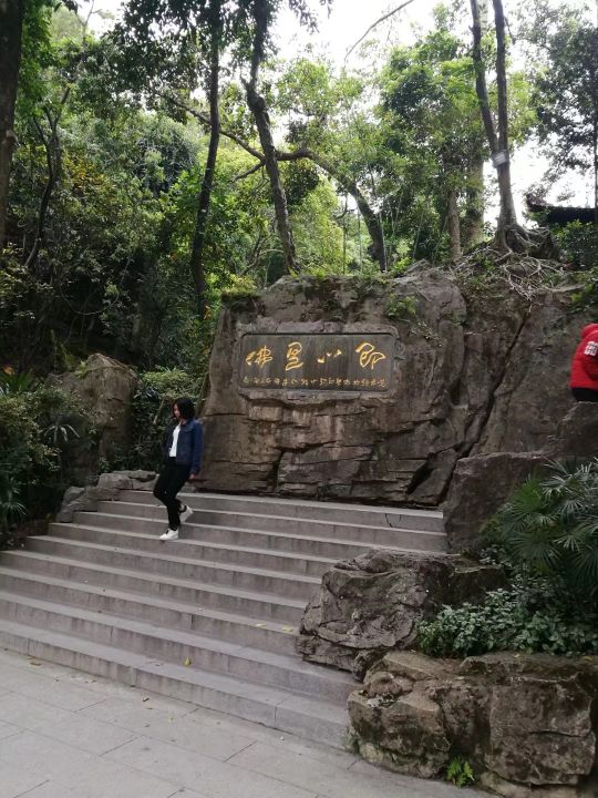 广州白云山游记作文,难忘的旅行广州白云山