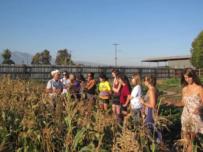 农庄餐饮怎么经营赚钱,怎么经营农家乐卖菜生意