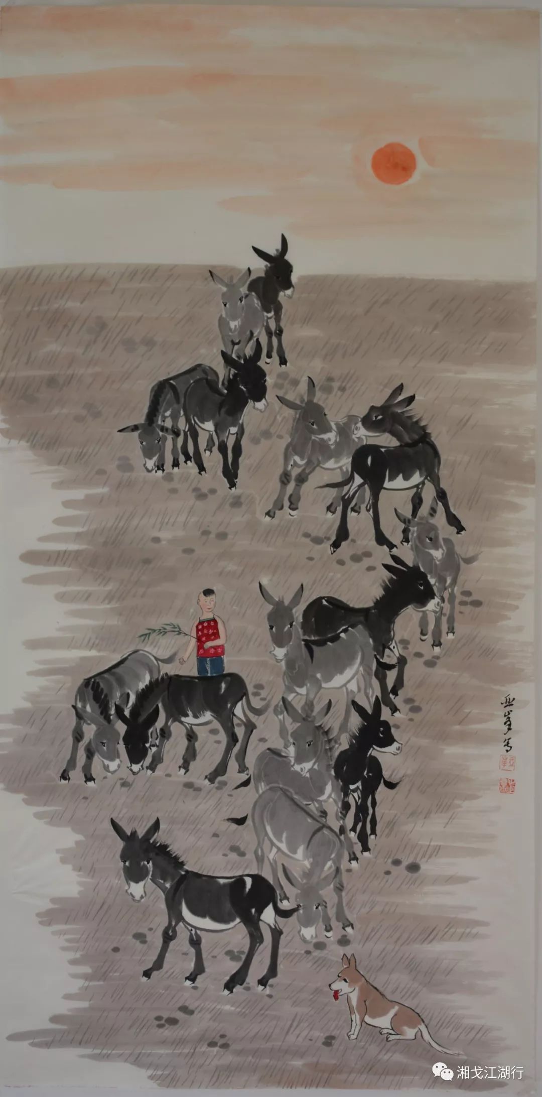 俞正军：西北“驴痴”的驴样人生