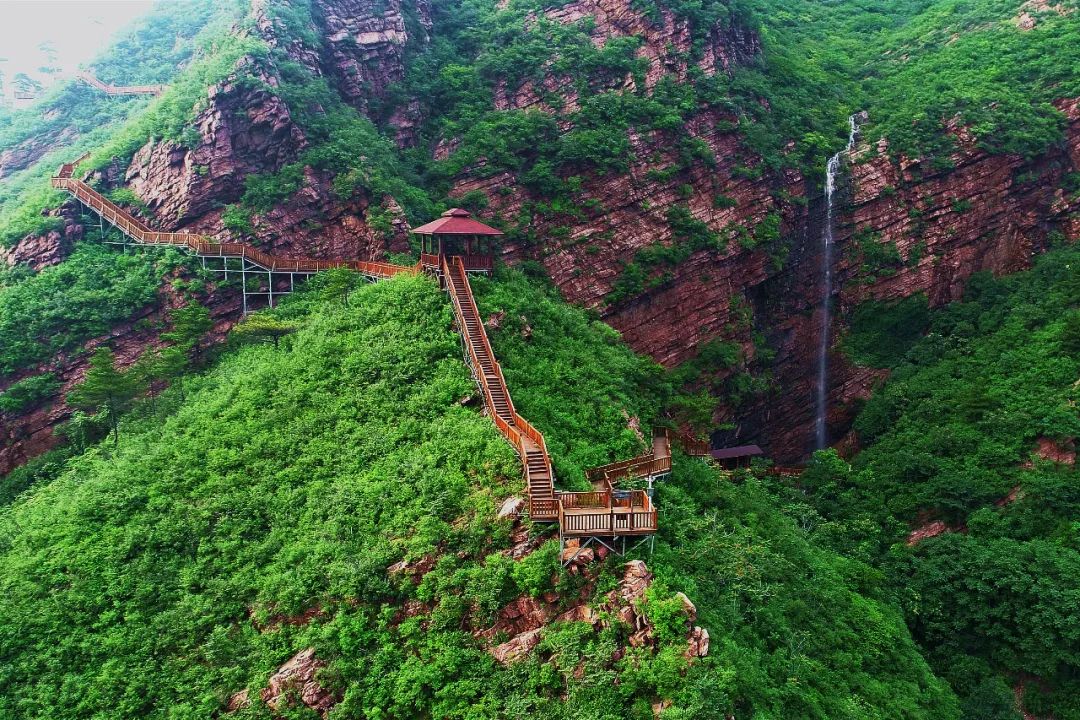 杏子熟了好吃又爽口,周末去近郊景盛源消暑摘杏