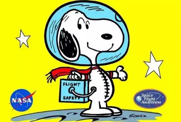 中科院开淘宝店“吸猫”不务正业？我反手就是一个赞