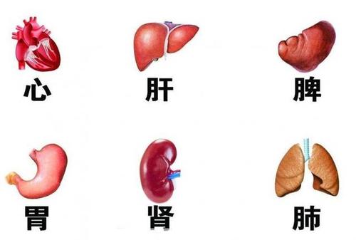 中医五行与五脏的关系,中医五行与五脏对应