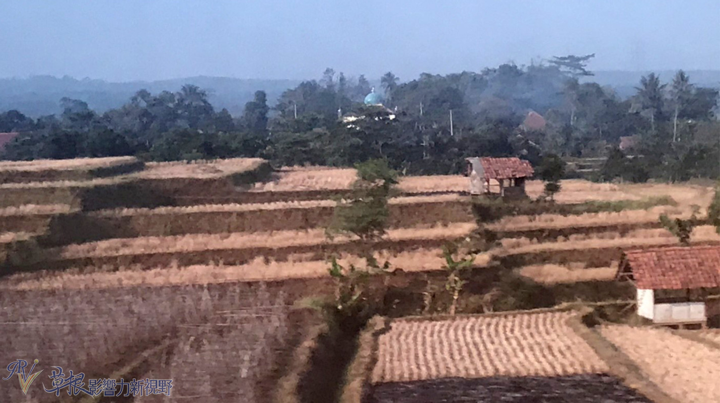 爪哇惊奇,二十万隆麝香猫咖啡园