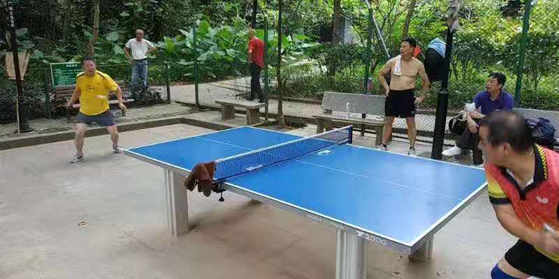 乒乓球常用术语大全,乒乓球对照术语大全