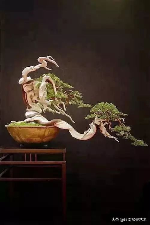 鎮礀缁濆閫㈢敓,鎮礀鐩嗘櫙澶у叏