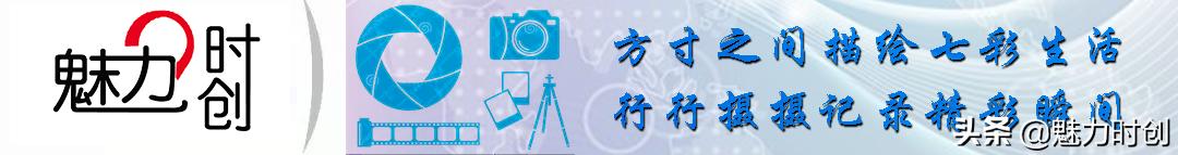 高素质红圈镜头,高画质挂机