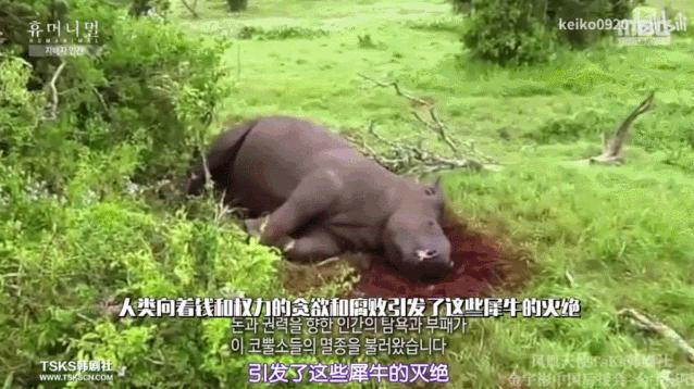 15岁怀孕的她，被骗吃下*药炸**，无辜去世：生而为人，有些人却不配