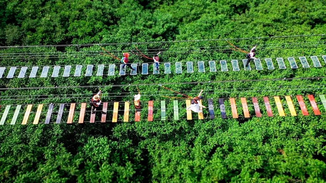 大连棠梨乐游谷免费项目,大连棠梨沟乐游谷攻略