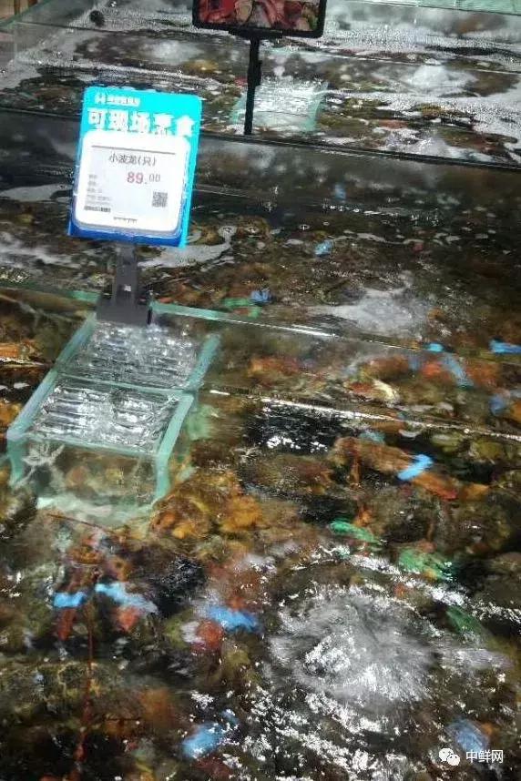 中秋营销水产篇，如何稳中求胜创佳绩？