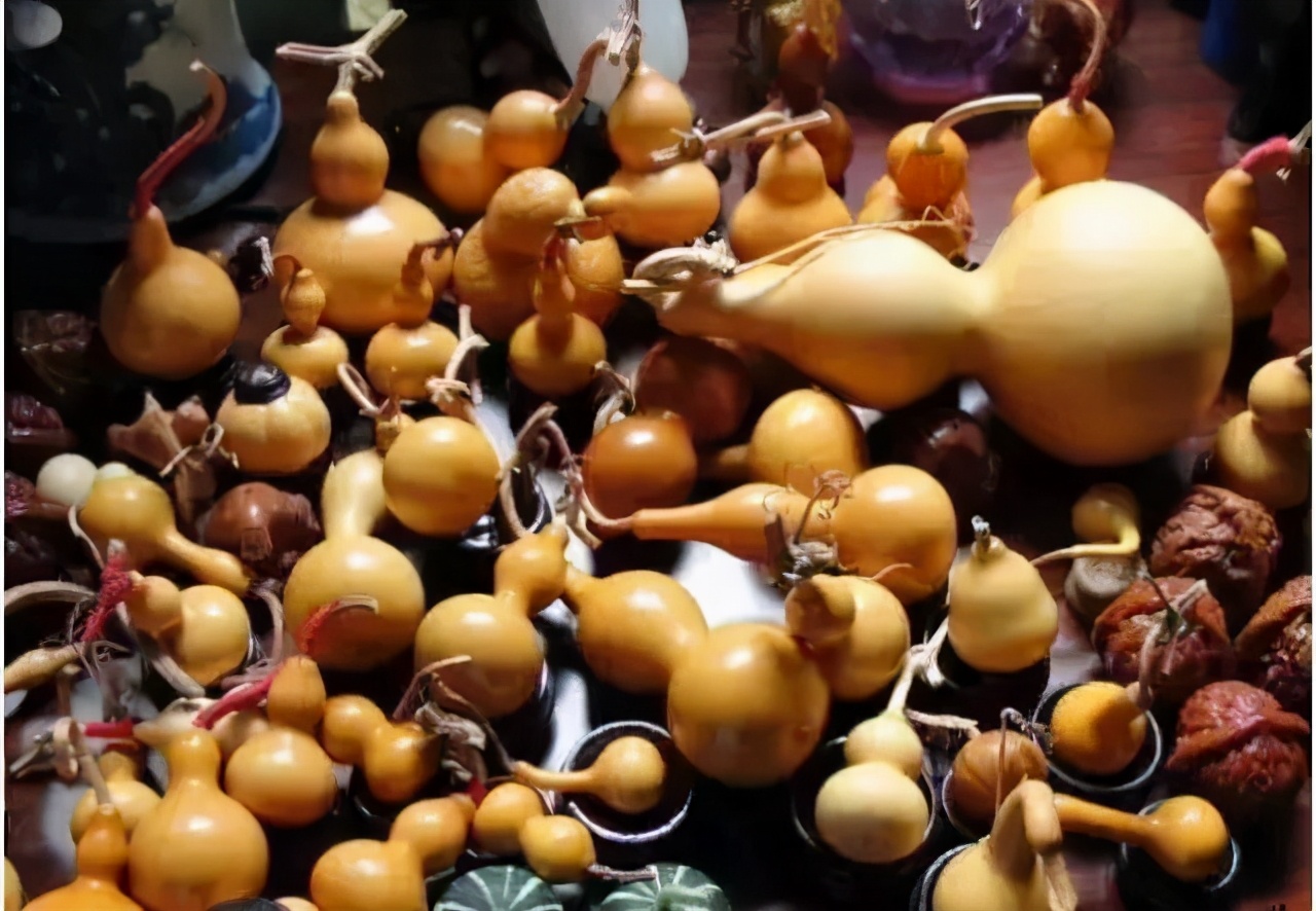 手捻葫芦如何把玩迅速变红,手捻葫芦盘玩的最高境界