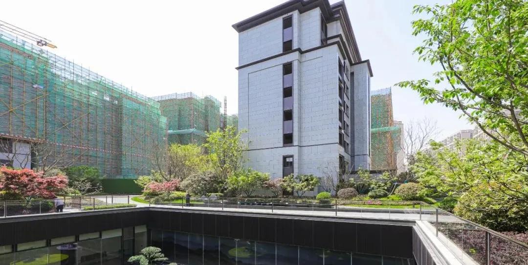 高科，与城市共生长的“城市赋能者”