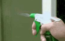 消灭跳蚤有什么特效药,消灭99.99%的跳蚤