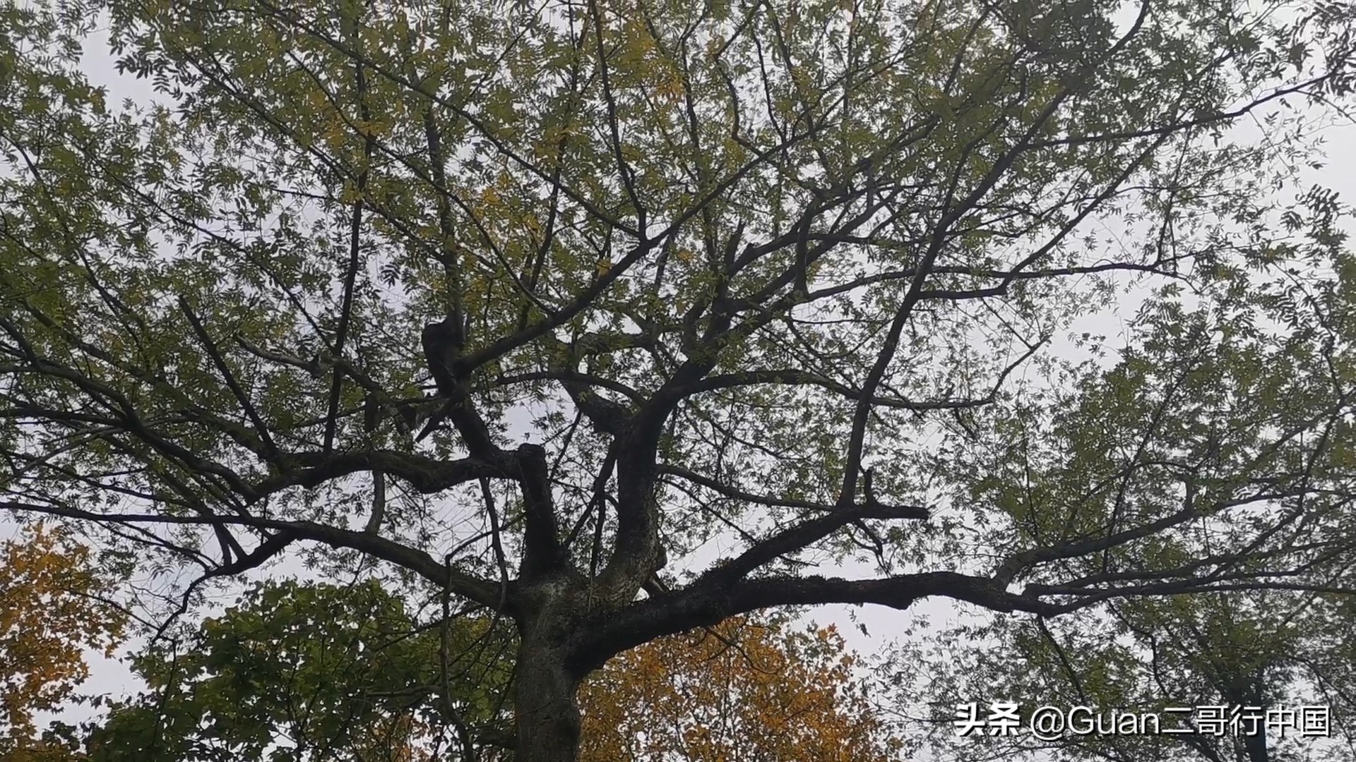 信阳鸡公山一日游真实感受,信阳鸡公山内心感受