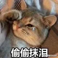 成都24小时开放的游泳池,成都游泳池哪里开放了