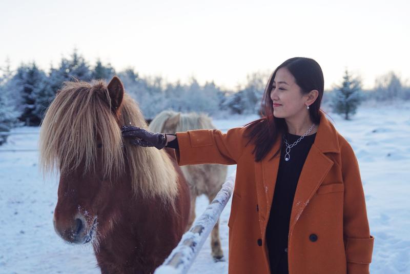 飘雪的季节,你要来一次冰岛(附冬季环游攻略)