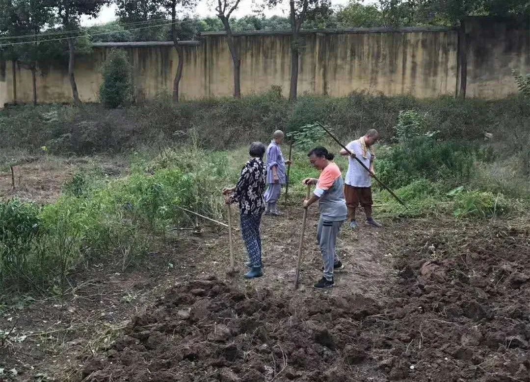 抢抓农时开展农业生产,农民纷纷抢抓春耕生产有利时机