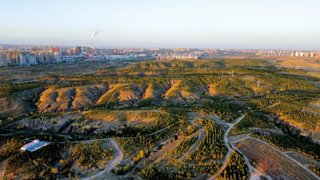 鄂尔多斯烂尾,鄂尔多斯林场被指毁林开垦