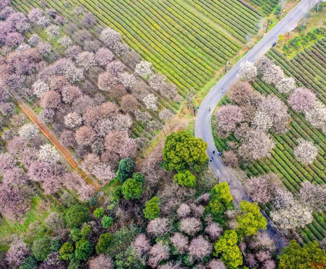 武汉冬季好玩的免费景点,武汉东湖免费景点有哪些
