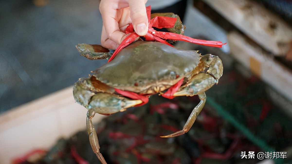 和乐蟹制作方法,和乐蟹什么季节好吃