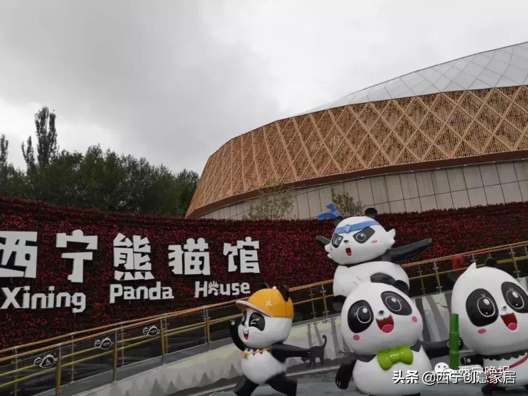 西宁熊猫馆门票可以多次进入吗,西宁熊猫馆门票多少钱