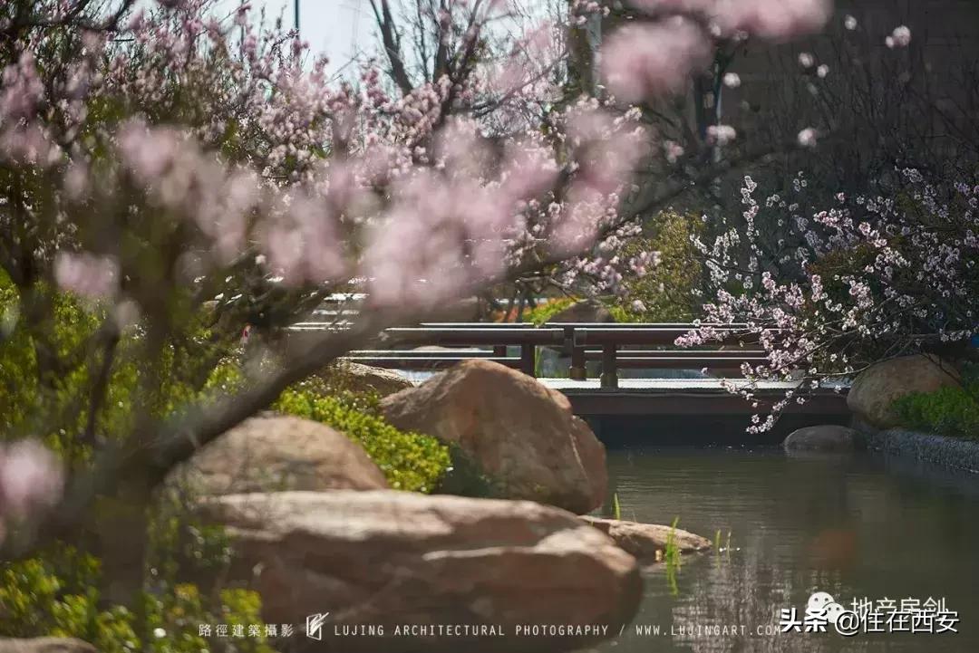 品质生活ip,星河湾的品质