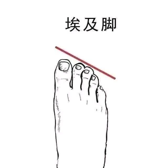 什么样的脚型穿鞋好看,脚型种类