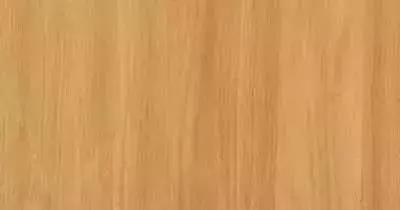 柴木是什么树种,柴木是什么