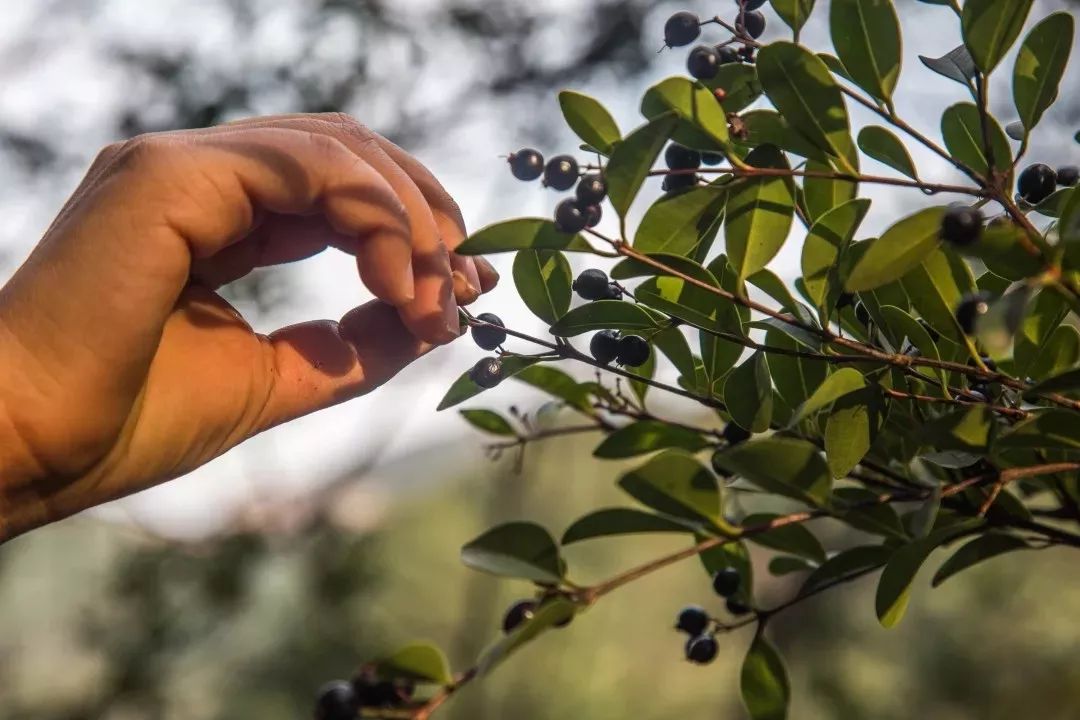 东钱湖徒步路线哪条最美,东钱湖附近有哪些免费古道