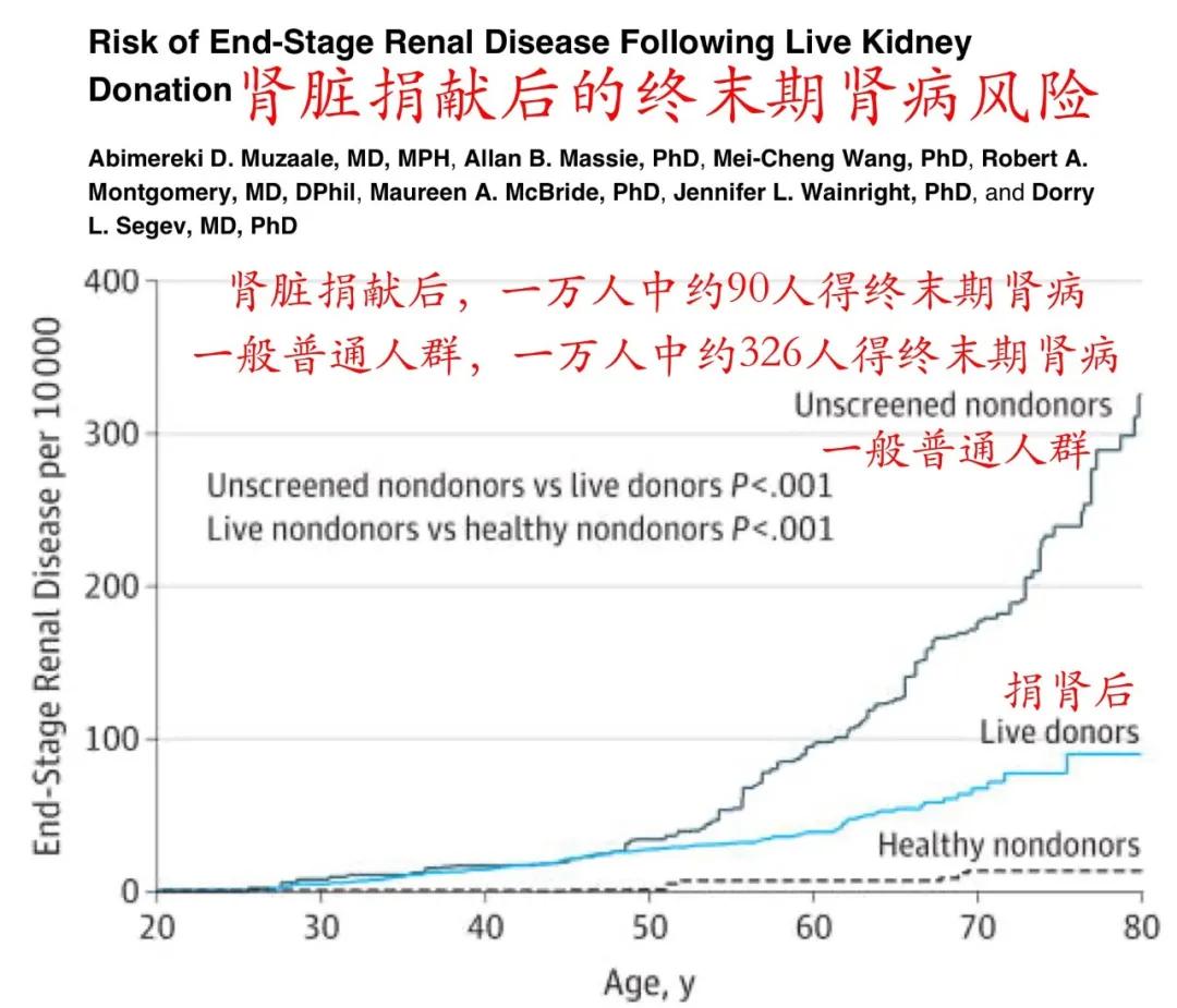 怎么改善自己的肾功能,肾不好的怎么保养和治疗
