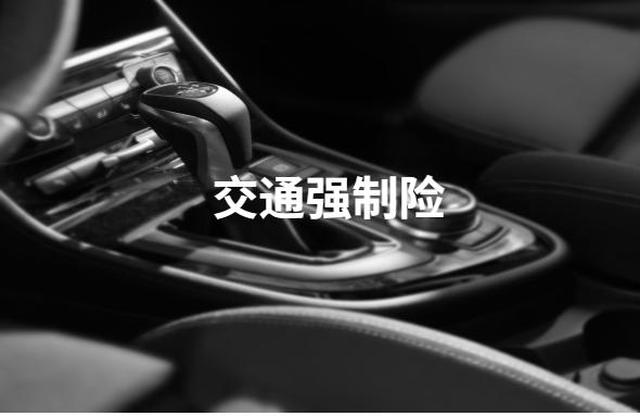 保险经验,车险经验分享思路ppt