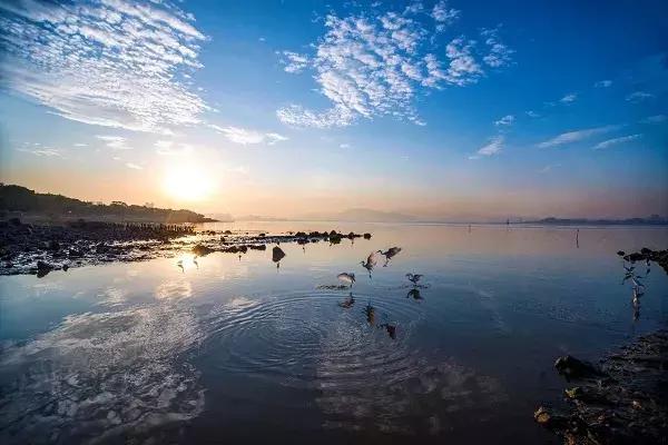 深圳十大免费旅游公园,国庆节深圳游玩