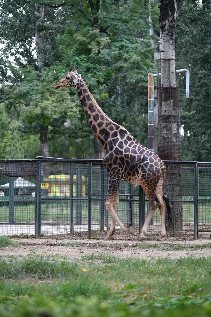 腾龙28-200f2.8长焦拍风景,长焦镜头腾龙