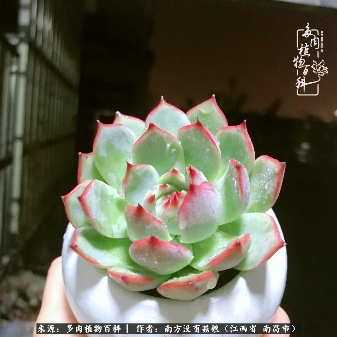 既见云胡不喜,既见君子云胡不喜毛笔楷书