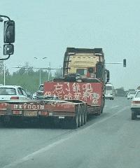 搞笑gif开心一刻单身也挺好,搞笑gif开心视频