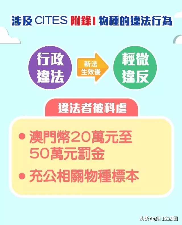 海关禁止带什么,澳门海关入境携带物品最新政策