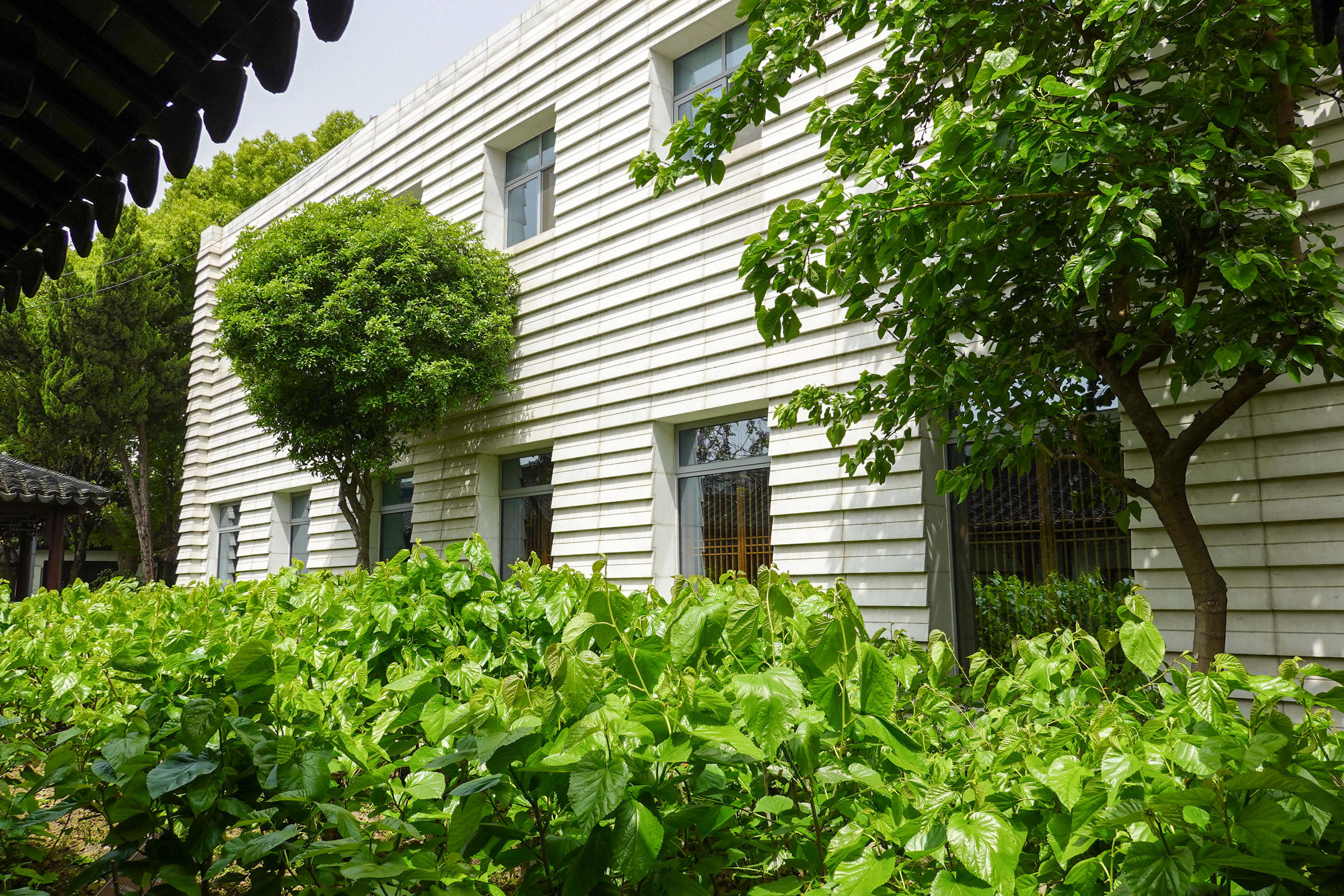 鑻忓窞鏃呮父灏忎紬鏃呮父鏀荤暐,鑻忓窞鏃呮父鏀荤暐灏忎紬鏅偣鎺ㄨ崘