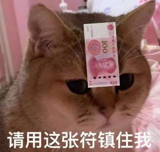 都说他的直播活该红，观众缘是如何积累的？