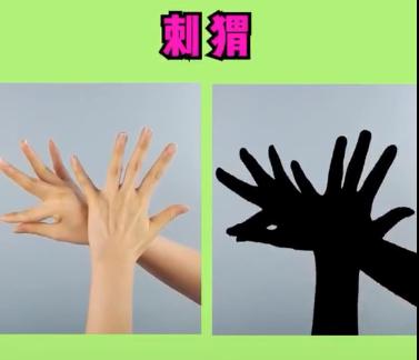 躺着陪孩子玩的睡前手指游戏,儿童亲子游戏6-12岁手脑协调