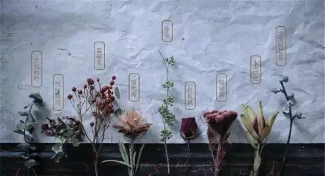 深山老林自建豪华木屋隐居生活,90后小情侣隐居深山建别墅仅花6万