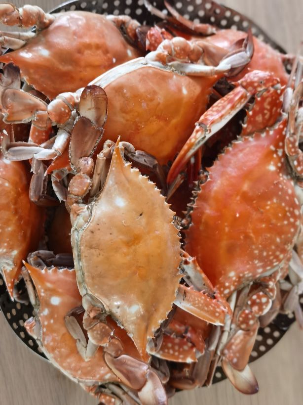 连云港海鲜美食攻略,连云港盛产什么海鲜