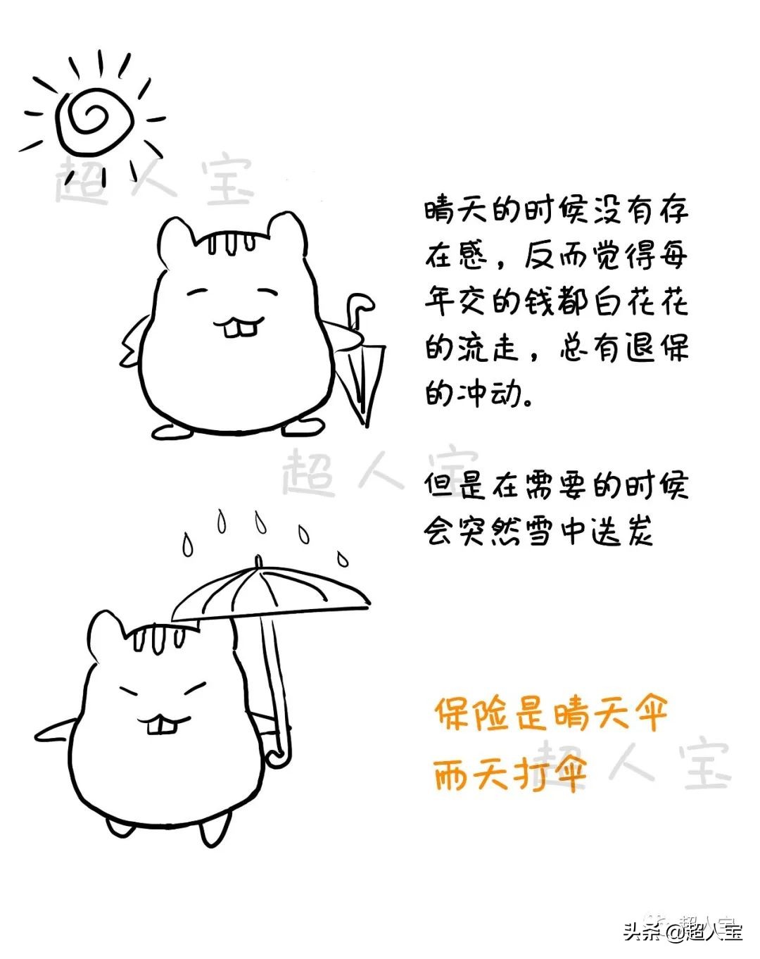 5分钟了解必备的四大险种,入门级保险解说「漫画保险」